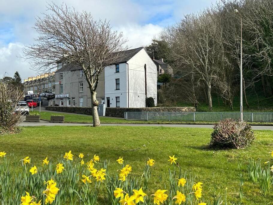 فيلا Caernarfon Modern Townhouse Snowdonia المظهر الخارجي الصورة